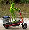 froggyjump