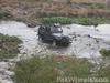 Jeep CJ-5-2010