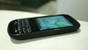 palm-other-13-899542.jpg