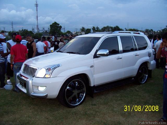 Prado+2010+model