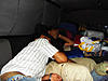 Click image for larger version

Name:	16.jpg
Views:	45
Size:	62.1 KB
ID:	112601